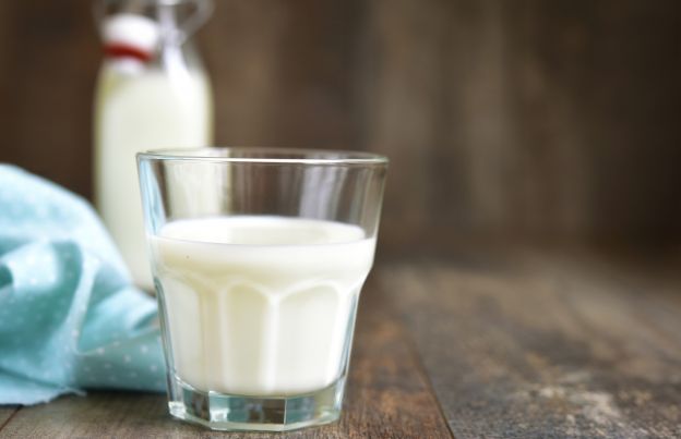 Il latte e i suoi derivati