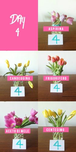 <strong>GIORNO 4</strong>