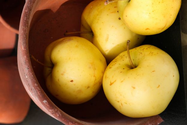 Frutta della dieta BARF