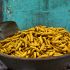 Curcuma, storia di una grande spezia