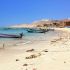 40 Socotra, Yemen