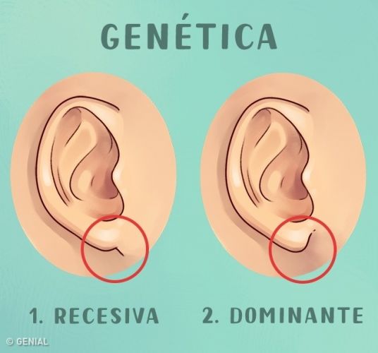 Genetica recessiva o dominante