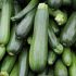I 10 migliori alimenti - Zucchina
