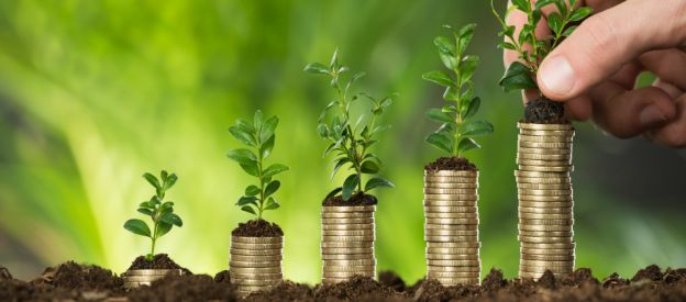 Mangi meglio, risparmiando