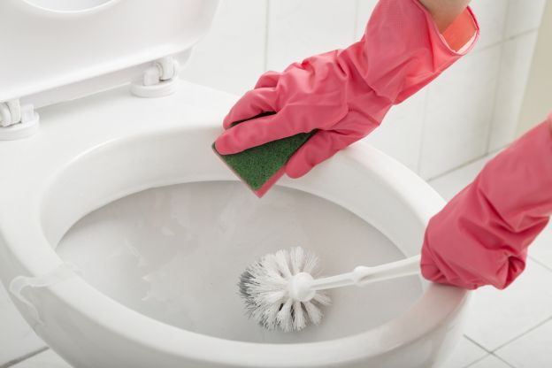 pulire la spazzola del wc in modo efficace