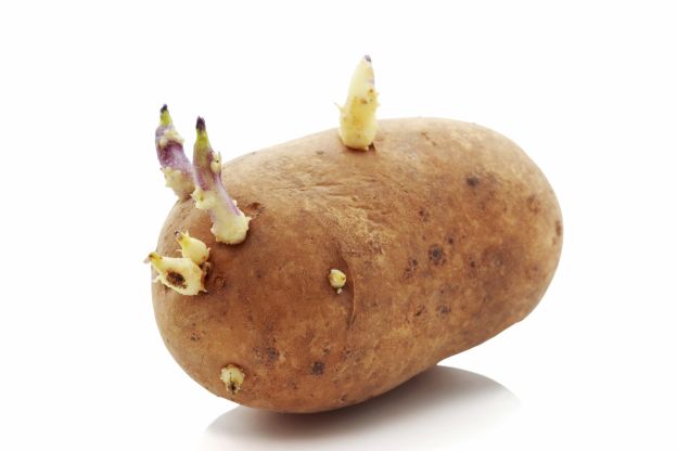 3. Rallentare la germinazione delle patate