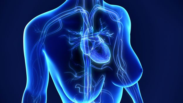 Portenti della salute