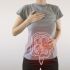 Facilita il transito intestinale