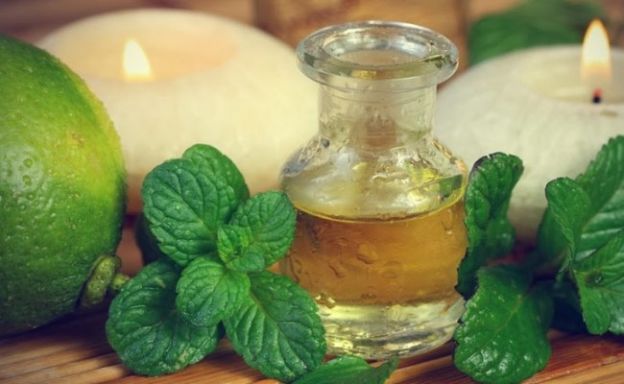 <strong>8 OLIO ESSENZIALE DI MENTA</strong>