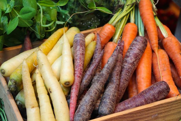 Le carote, colorate e dolci