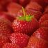 Fragole