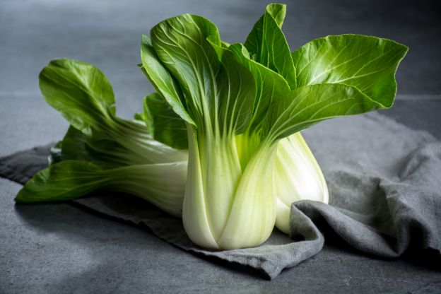 Bok choy o cavolo cinese