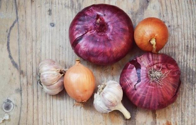 l'unico alimento proibito è...