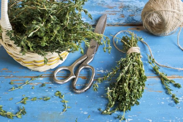 Utilizzare erbe essiccate anziché fresche