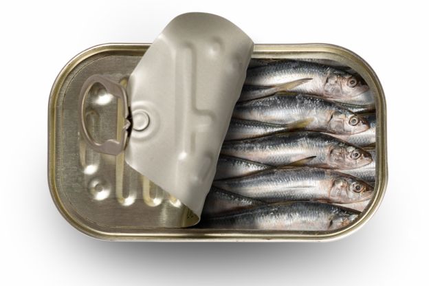 Sardine in olio