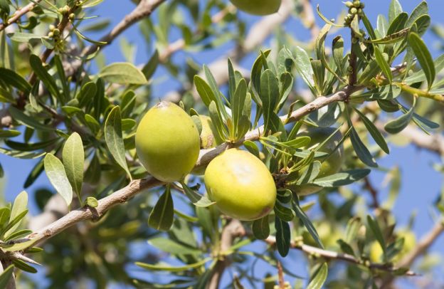 Gli effetti benefici