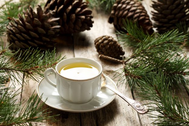 TÉ agli aghi di pino