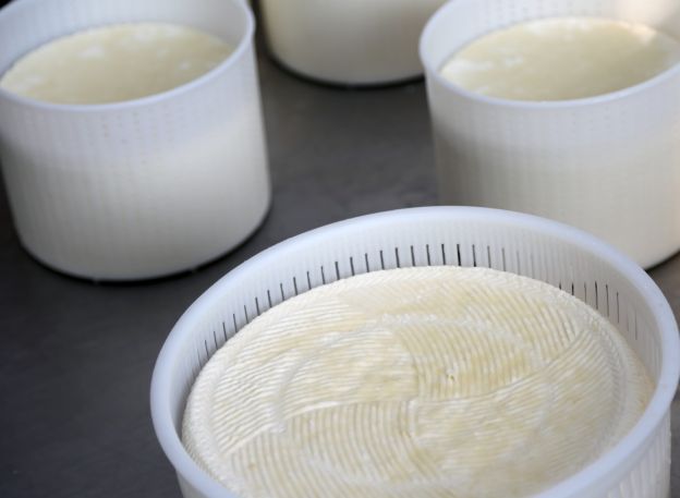 in definitiva: lattosio si, o no?