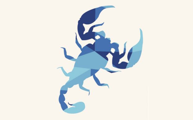 2. Scorpione 24 Ottobre - 22 Novembre