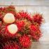 RAMBUTÁN