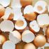 Come eliminare i frammenti di guscio d'uovo