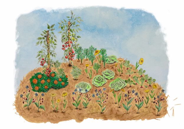 Il concetto di permacultura