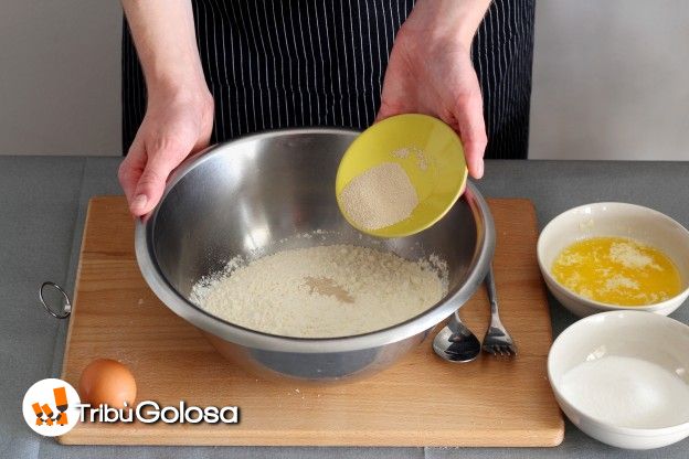 L'impasto: farina + lievito