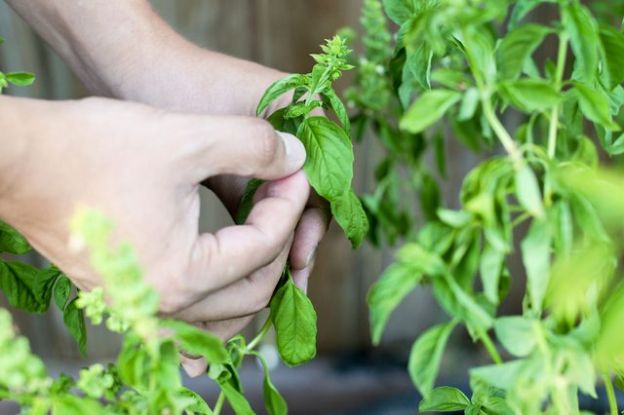 <strong>2. NON LASCIARE I FIORI</strong>