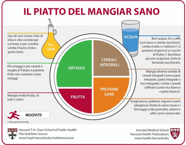 Il piatto del mangiar sano