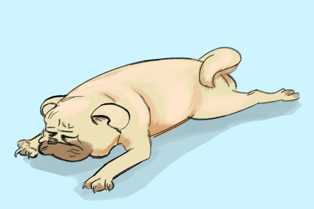 <strong>2. Sdraiato sulla pancia</strong>