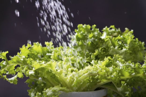 Salvare la lattuga bagnata