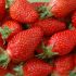 le fragole