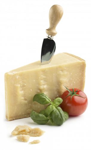 Il parmigiano