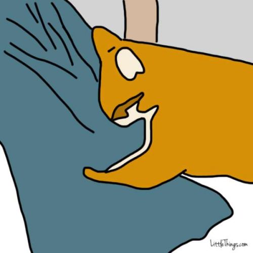 Nessun altro vi fa i massaggi (senza chiedere!) alle gambe con le zampine