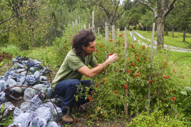 Non lavora contro natura ma con essa
