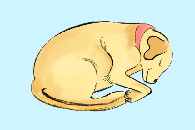 <strong>1. Arrotolato su se stesso</strong>