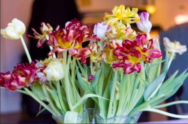 <strong>2. ALLUNGA LA VITA DEI FIORI</strong>