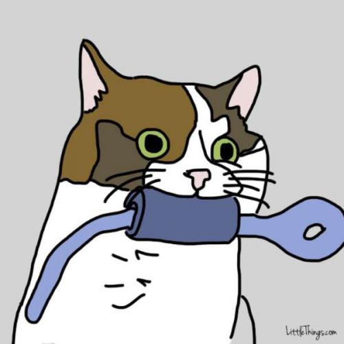 Vi porta regalini di ogni tipo anche quando non è il vostro compleanno