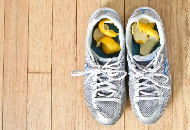 <strong>1. SCORZE d'AGRUMI</strong>