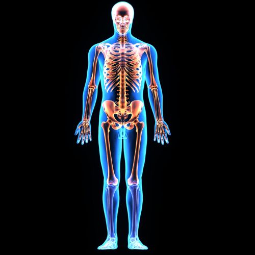 <strong>http://images2.confidentielles.fr/dl/base_photos/1/4/9/8/33/331498.jpg</strong>