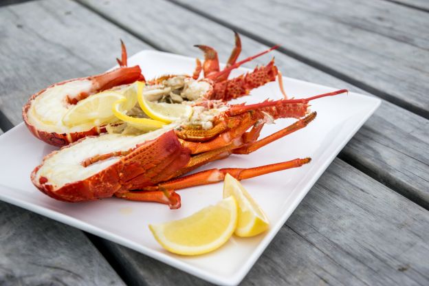 Crayfish - Nuova Zelanda