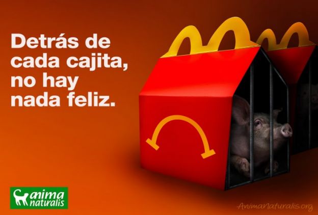 Sulla catena produttiva...