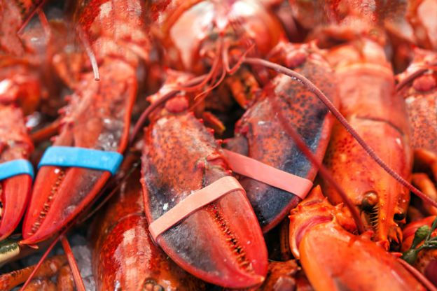 Mangiare i crostacei in modo improprio