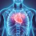 6. Dimuisce il rischio cardiovascolare