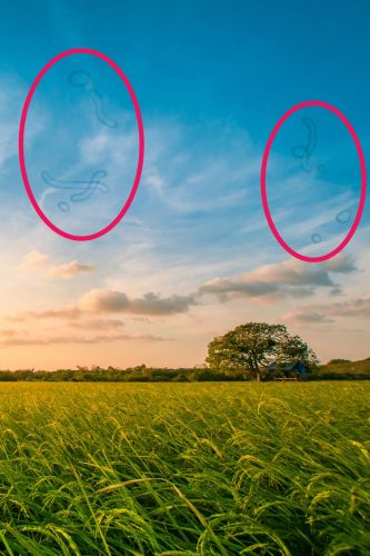 Attenzione alla retina