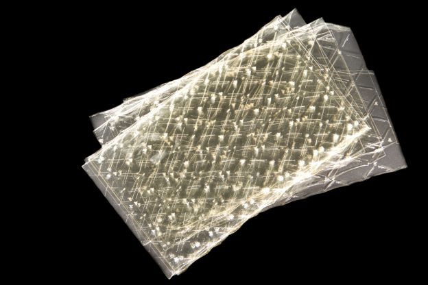 Ammorbidisci la gelatina prima di aggiungerla alla tua ricetta