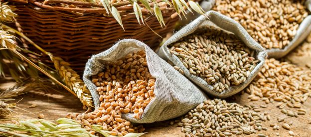 Stai mangiando carboidrati raffinati