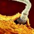 uno dei 200 milioni di spermatozoi del padre sta tentando di rompere la membrana dell'ovulo per fecondarlo