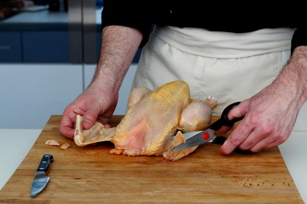 Tagliate le estremità delle ali