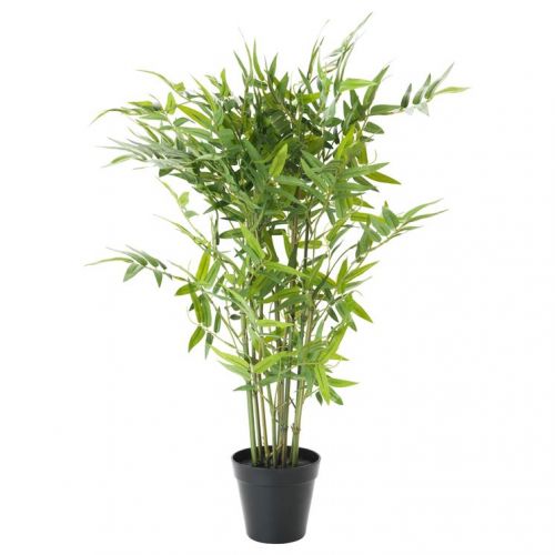 <strong>9 - BAMBù</strong>